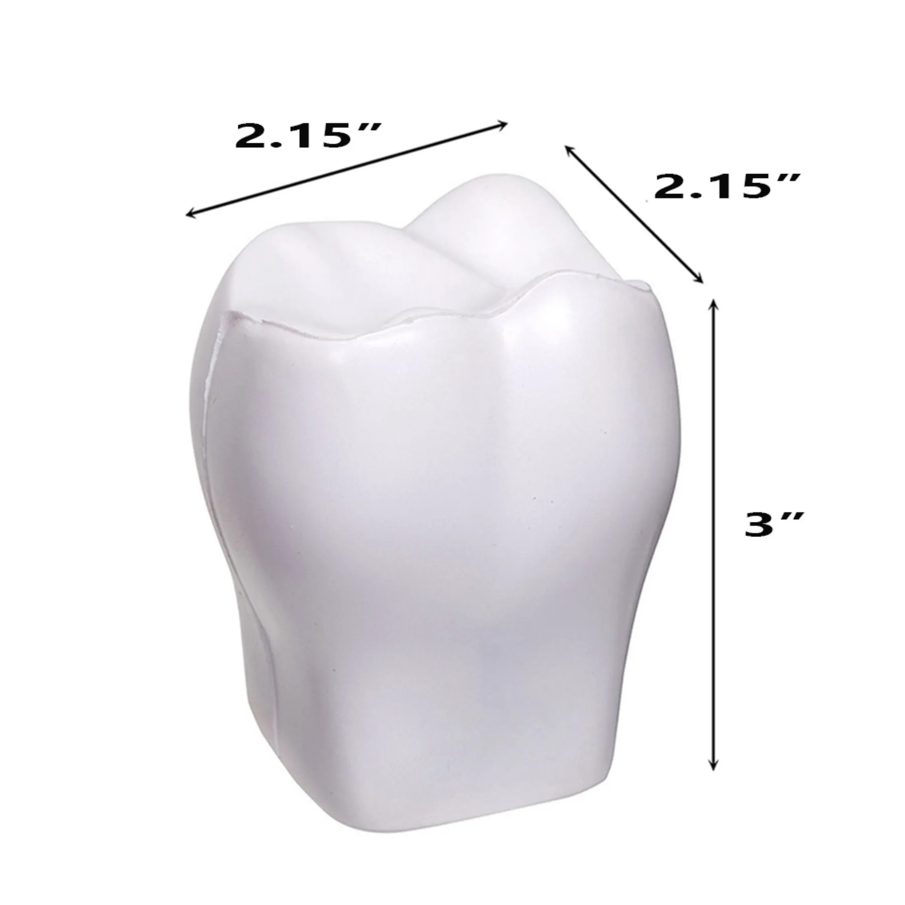 Tooth Stress Ball - Image 2