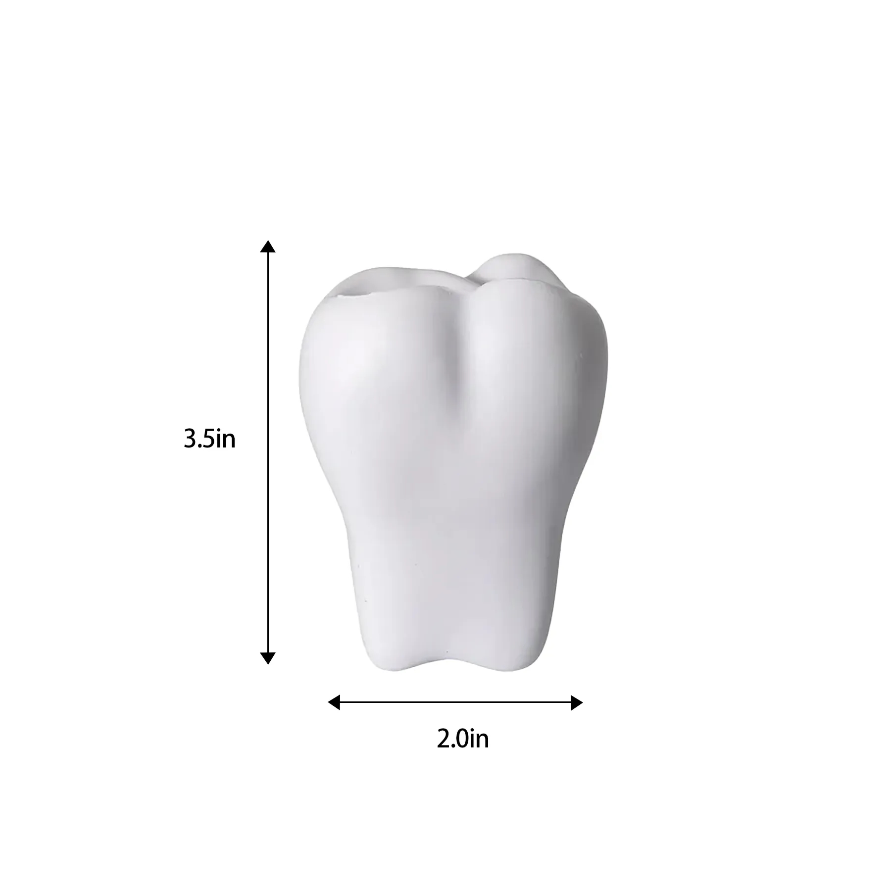 Dental Tooth Stress Ball With Custom Pad Print Branding - Image 2
